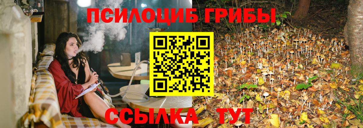 Галлюциногенные грибы Psilocybine cubensis  Галлюциногенные грибы мицелий  Волхов  Вход с VPN 